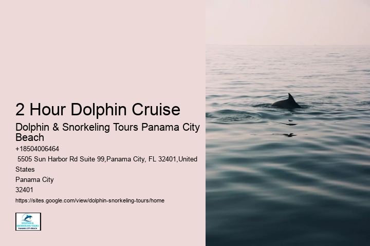 Dolphin Tours In Panama City Beach Florida