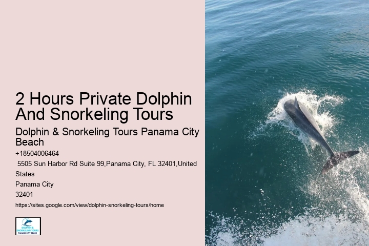 Dolphin sightseeing in Panama City Beach