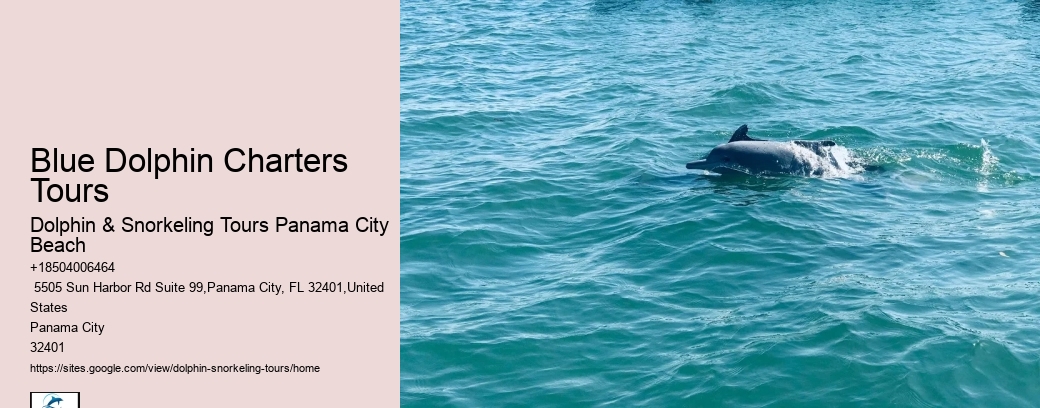 Blue Dolphin Charters Tours