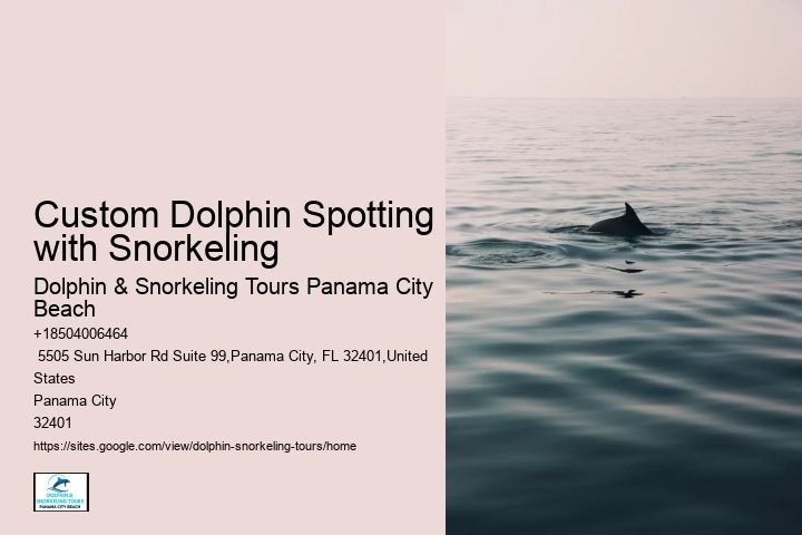 Secluded Dolphin Encounter with Snorkeling