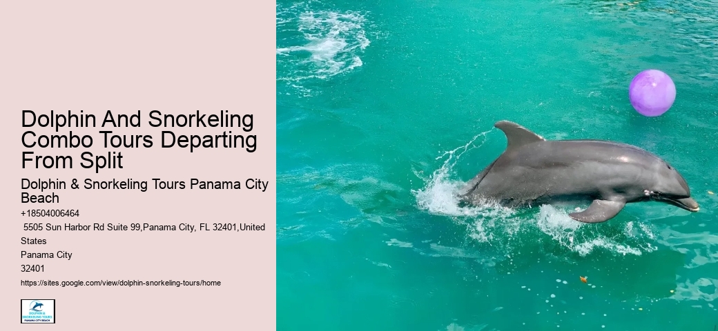 Dolphin Expeditions in Panama City Beach