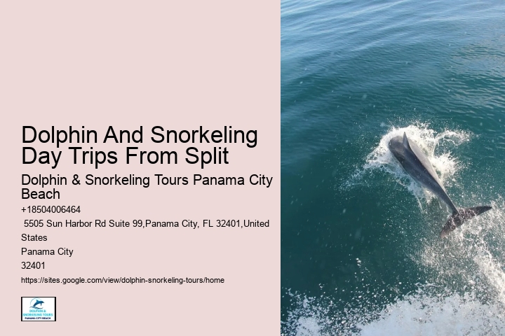 PCB Dolphin Sightseeing Tours