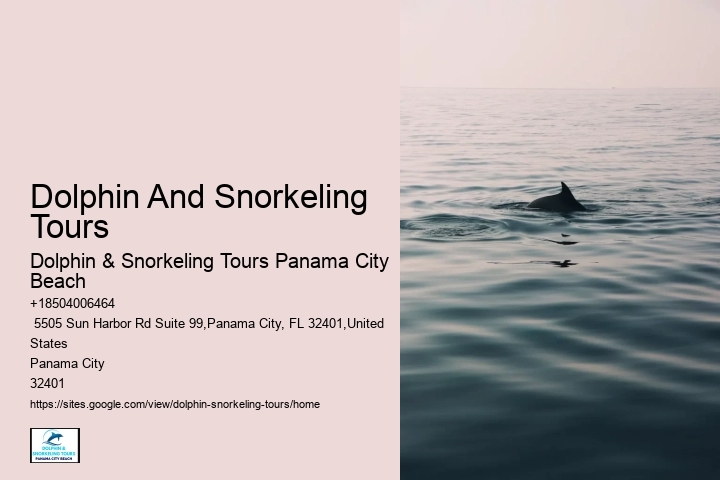 Dolphin Tours Near Me Panama City Beach