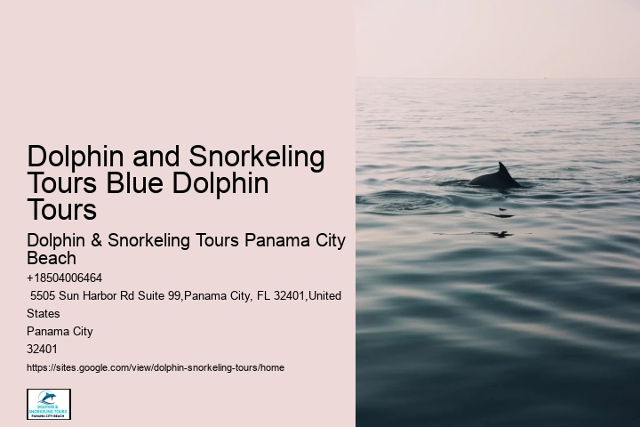Panama City Beach Florida Boat Tours