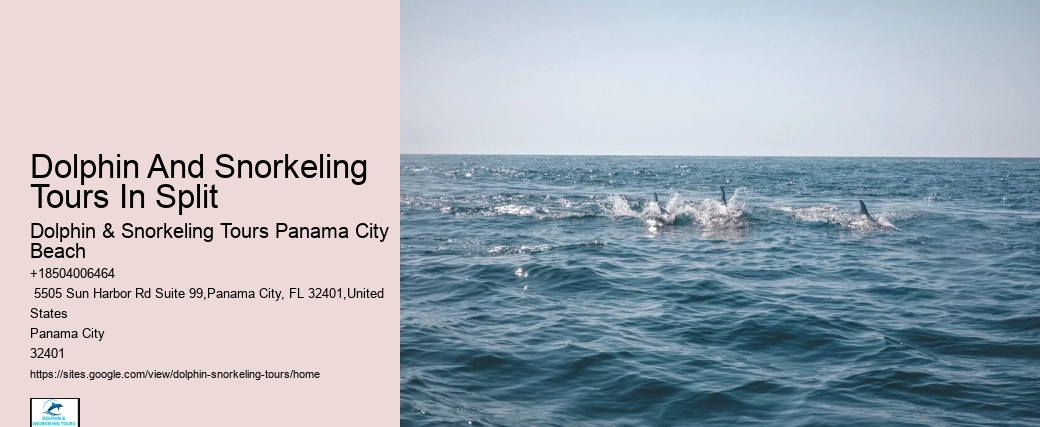 Dolphin watching excursions at Panama City Beach