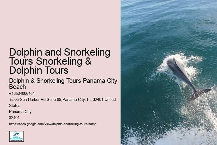 PCB Dolphin Watching Trips