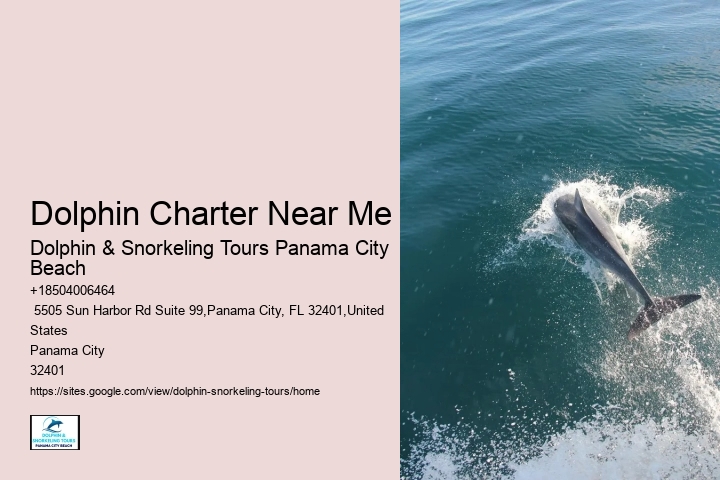 Split Exclusive Snorkeling And Dolphin Charters