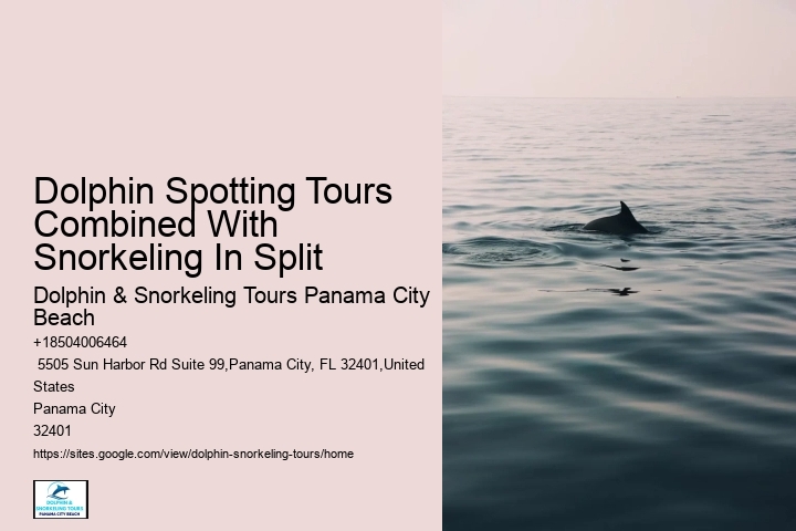 Are Dolphins At Panama City Beach