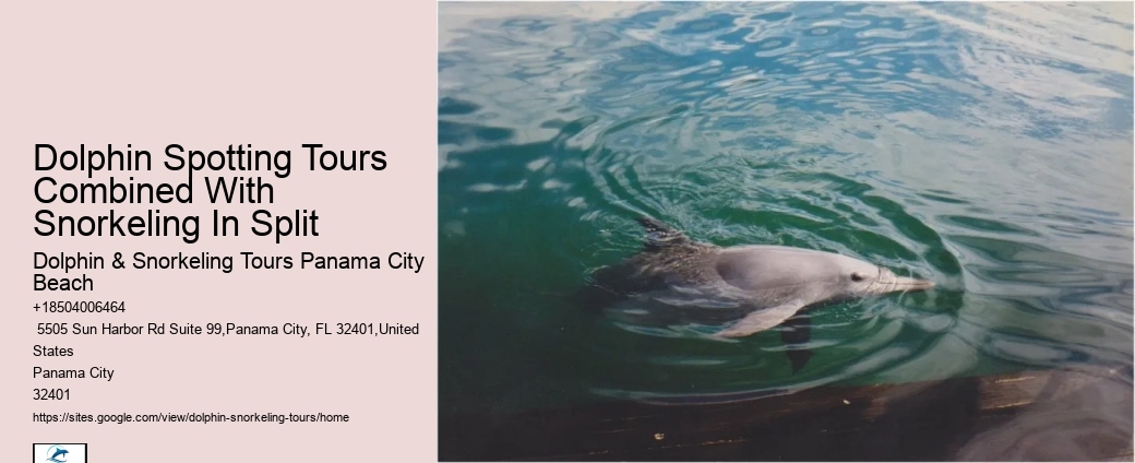Salty Mary Dolphin And Snorkel Tours Reviews