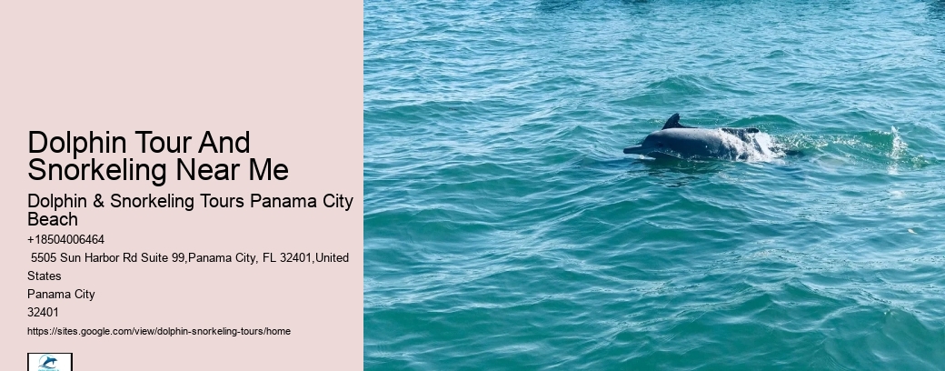 Are Dolphin Tours Safe For Dolphins