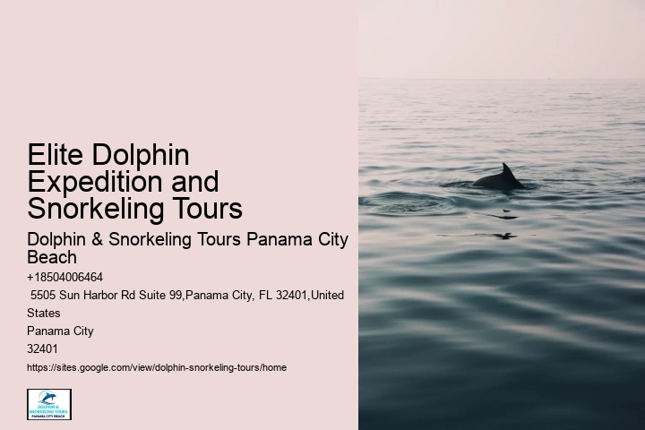 Dolphins