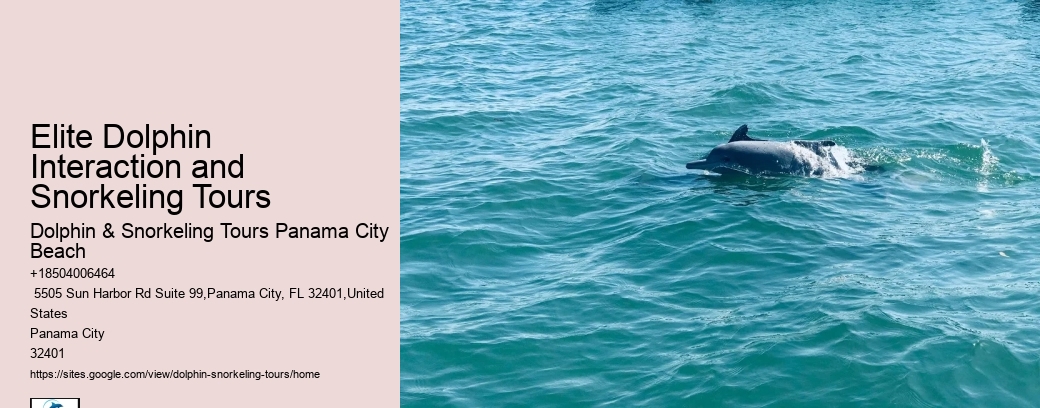 Are there any specific clothing recommendations for the dolphin tour