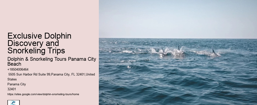 Are dolphin tours in Panama City Beach suitable for children