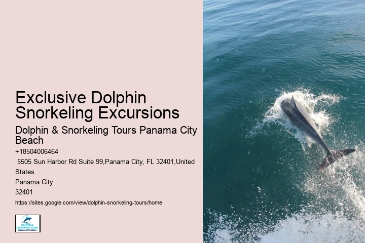 What type of dolphin species might we encounter on the tour
