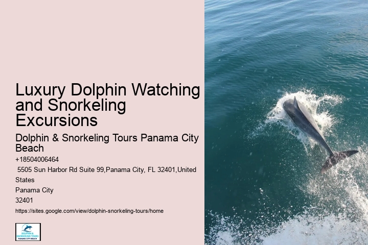 Split Thrilling Dolphin And Snorkeling Charters