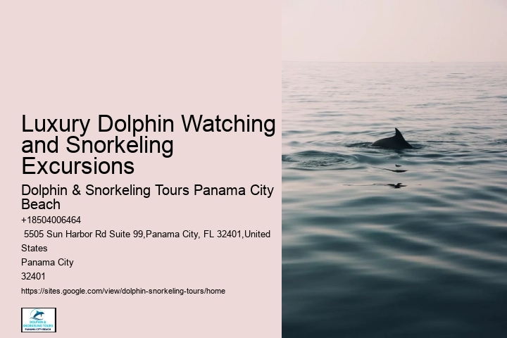 Panama City Beach dolphin watching voyages