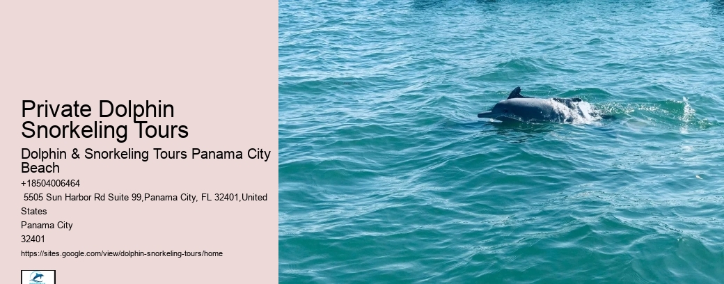 Panama City Beach Boat Tours To Shell Island