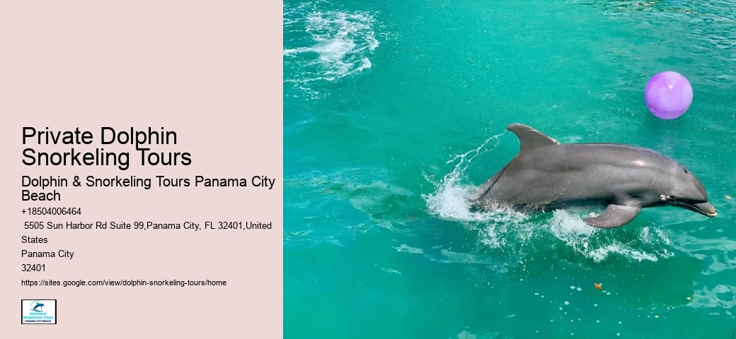 Panama City Beach Dolphin Sunset Cruise