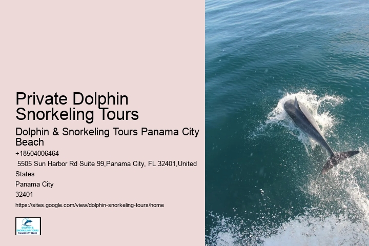 Blue Dolphin