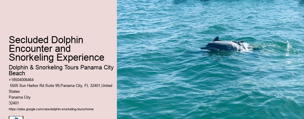Are Panama City Beach dolphin tours suitable for non-swimmers