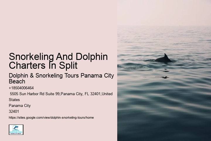 Split Charter Dolphin