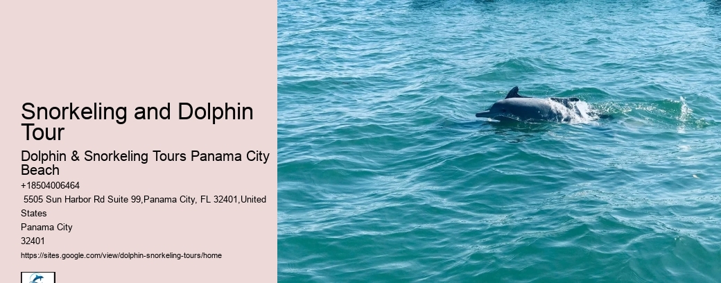 Salty Dog Dolphin Tours Panama City Beach Fl