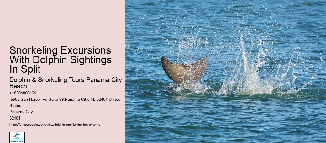 Dolphin Sightseeing Tours