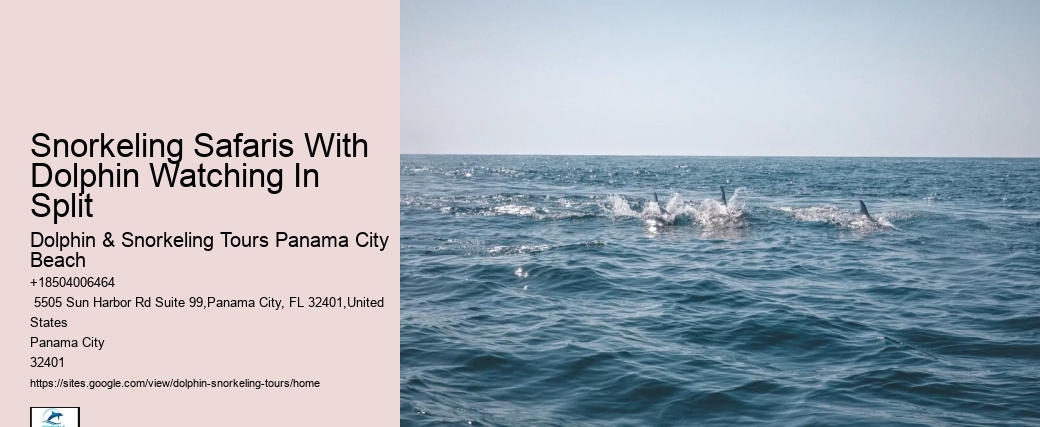 Split Eco-tours Featuring Dolphin Encounters And Snorkeling