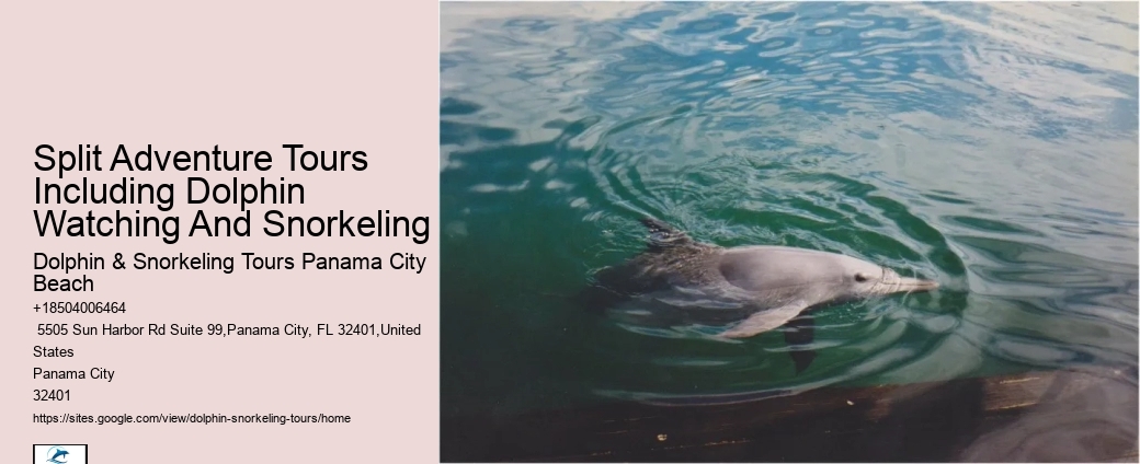 Do Dolphins Use 100% Of Their Brain