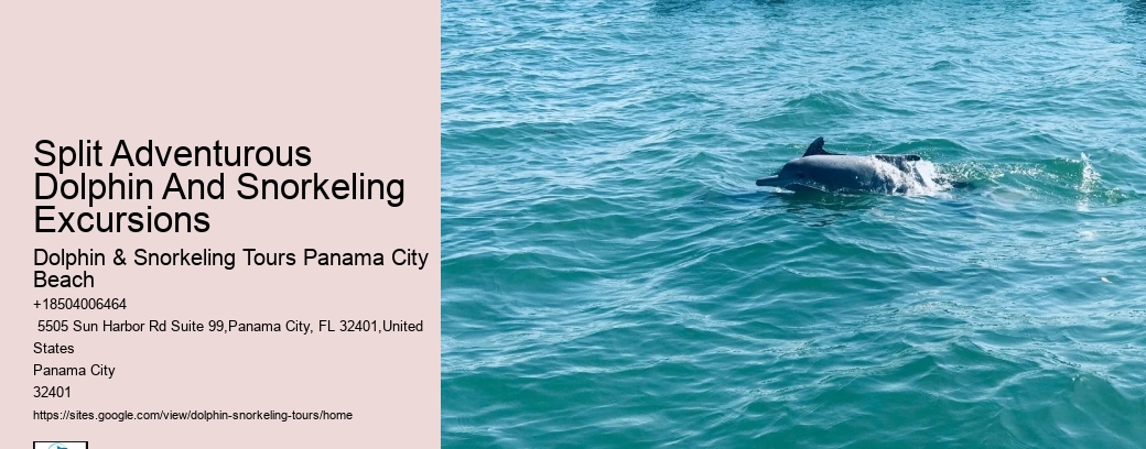 What happens if the weather is bad during my scheduled dolphin tour