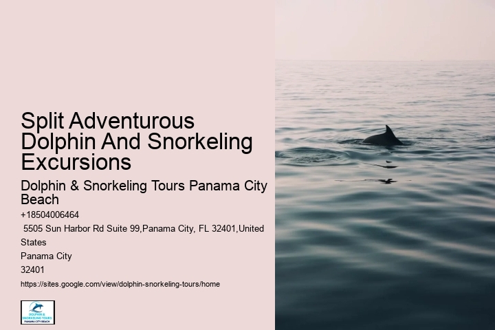 Are there evening sunset dolphin tours available in Panama City Beach