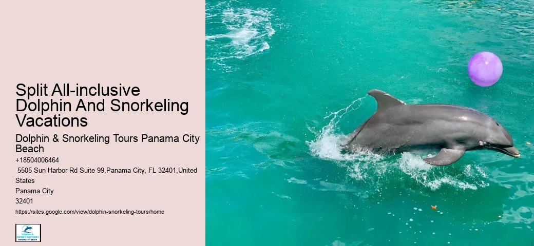 How Long Do Dolphins Live