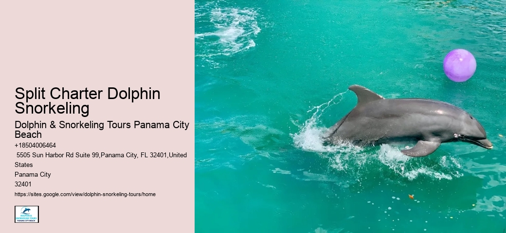 Panama City Beach Dolphin Cruises