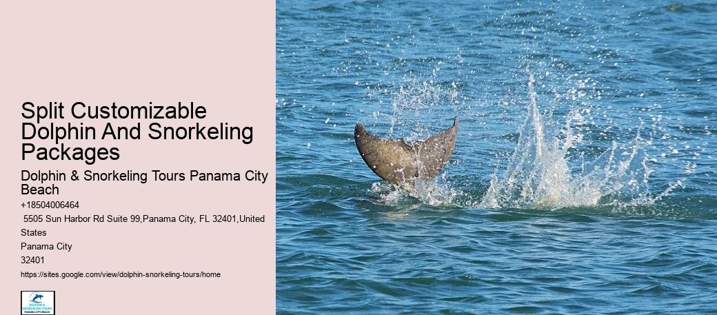 What You Can Do For Strandings