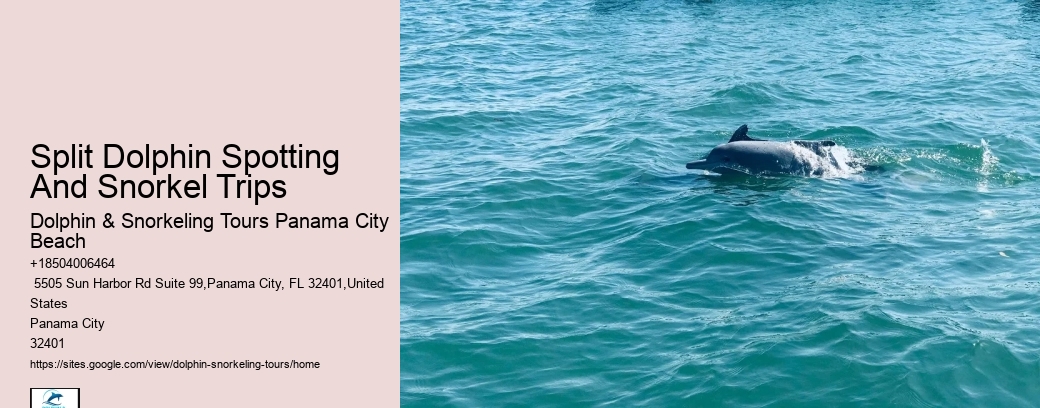 Marine mammal research