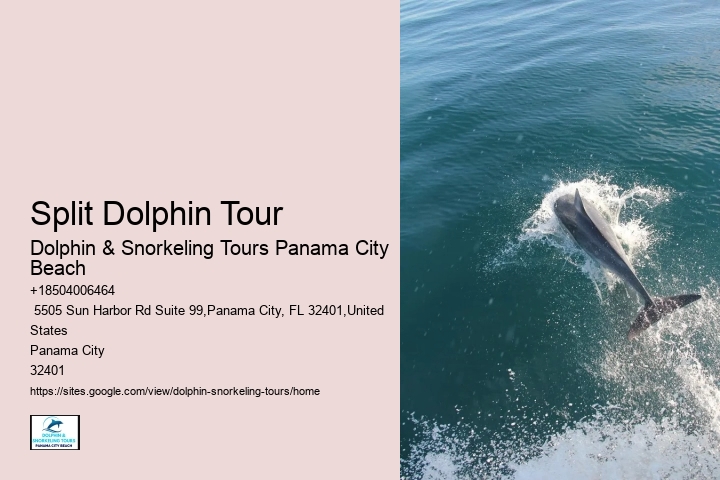 Do Male Dolphins Force Females To Mate