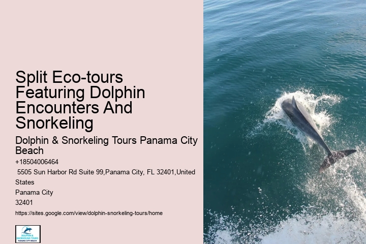 Split Off-the-grid Dolphin And Snorkeling Excursions