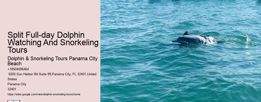 Secluded Dolphin Encounter and Snorkeling Experience