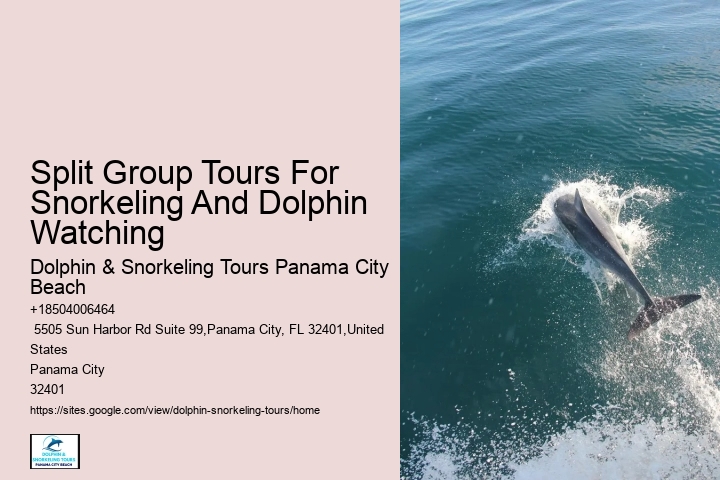 Is There A Weight Limit For Swimming With Dolphins