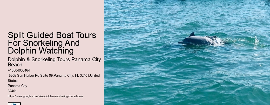 Split Guided Boat Tours For Snorkeling And Dolphin Watching