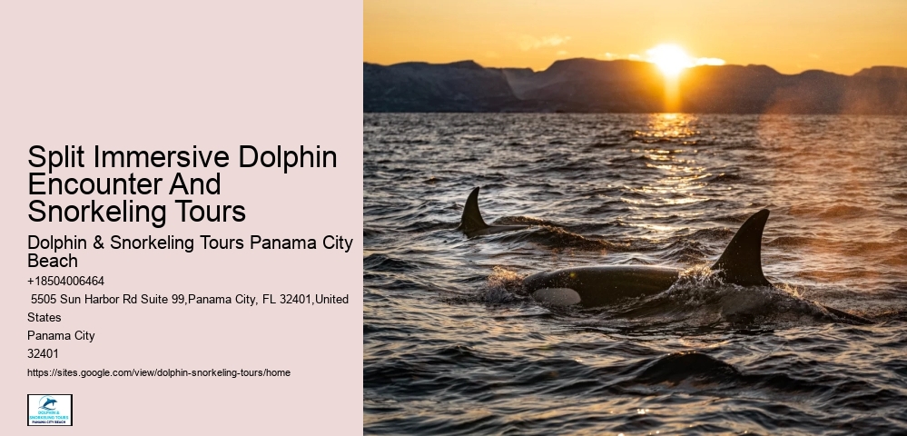 What Is The Natural Enemy Of Dolphins