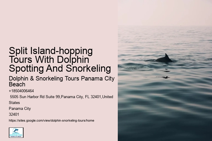 All-inclusive Experiences - Swim With Dolphins