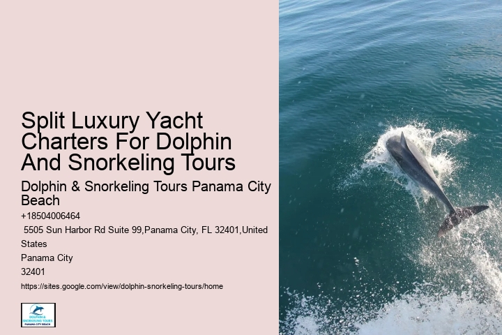 Panama City Beach Dolphin Adventure Cruises