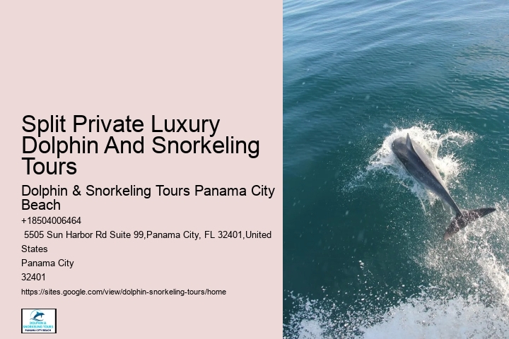 Split Luxury Snorkeling And Dolphin Experiences