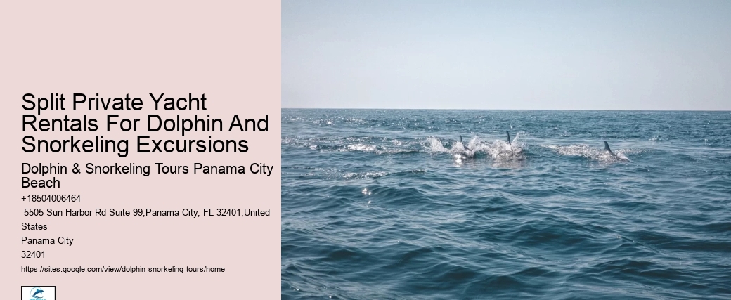 This Is How Dolphins 'see' Humans With Echolocation