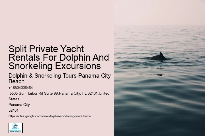 Dolphin Cruises