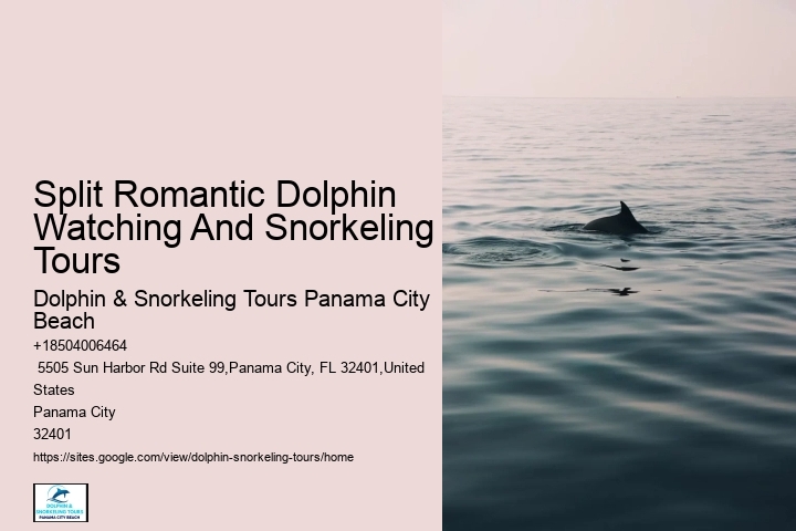 Dolphin Express