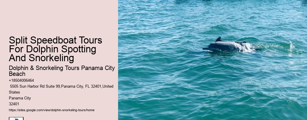 Can I request a specific time for my dolphin tour
