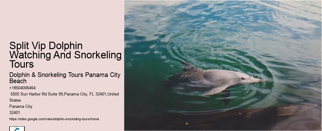 Do Dolphins Like To Be Touched