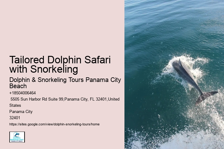Dolphin sightseeing adventures in Panama City Beach